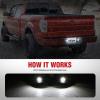 imageNilight License Plate Light Compatible with 1994 1995 1996 1997 1998 1999 2000 2001 Dodge Ram 1500 2500 3500 2002 RAM 2500 3500 6000K White 2PCS PackBlack 19902014 Ford F15019832011 Ford Ranger