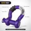 imageNilight 34quot D Ring Shackle with Towing Pulley 2 Pack 475 Ton 9500 Lbs 78quot Pin Heavy Duty Off Road Recovery Shackle with Isolators Washer Kit for Jeep Truck Tractor Vehicle ATV UTV GreenPurple