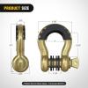 imageNilight 34quot D Ring Shackle with Towing Pulley 2 Pack 475 Ton 9500 Lbs 78quot Pin Heavy Duty Off Road Recovery Shackle with Isolators Washer Kit for Jeep Truck Tractor Vehicle ATV UTV GreenGold