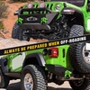 image:imageNilight 2 Pack 34 DRing Separate Shackle 45000 Lbs Break Strength  Includes 78 Lock Pin Isolators and Washers Off Road Recovery for Tow Strap Winch Truck Vehicle BlackGreen 34 2 Pack