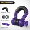 image:imageNilight 2 Pack 34 DRing Separate Shackle 45000 Lbs Break Strength  Includes 78 Lock Pin Isolators and Washers Off Road Recovery for Tow Strap Winch Truck Vehicle BlackPurple 34 2 Pack