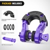 image:imageNilight 2 Pack 34 DRing Separate Shackle 45000 Lbs Break Strength  Includes 78 Lock Pin Isolators and Washers Off Road Recovery for Tow Strap Winch Truck Vehicle BlackPurple31 Ton Mega