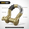 image:imageNilight 2 Pack 34 DRing Separate Shackle 45000 Lbs Break Strength  Includes 78 Lock Pin Isolators and Washers Off Road Recovery for Tow Strap Winch Truck Vehicle BlackGold 34 2 Pack